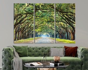 Live Oak Tree Alley canvas wall art Savannah Georgia nature wall art Oak Tree Tunnel art print Large canvas art