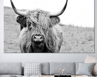 Highland Cow large canvas wall art prints Farmhouse decor Black White print Scottish Cow wall art Rustic wall decor