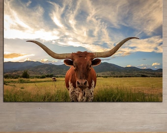 Longhorn Cow Canvas Print: Rustic Western Farmhouse Wall Art