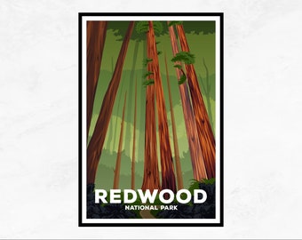 Redwood National Park Poster | Redwood Wall Art Print Set #2