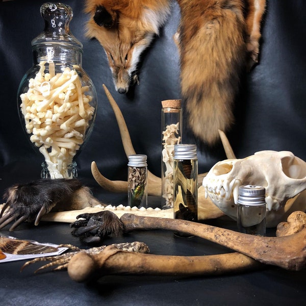 Caja de misterio de rareza