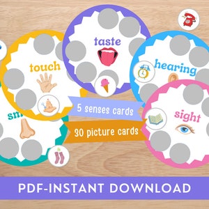 FIVE SENSES Sorting Activity Printable 5 Senses Sorting Educational ...