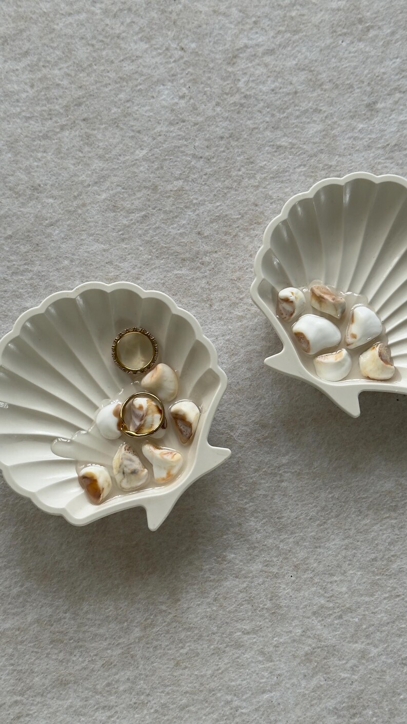 Shell on Shell Tray: Unique Decor - Etsy