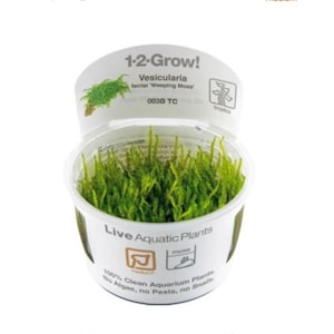 May include: A clear plastic container filled with green Weeping Moss, labelled "1-2-Grow! Vesicularia ferriei 'Weeping Moss' 003B TC tropica Live Aquatic Plants 100% Clean Aquarium Plants No Algae, no Pests, no Snails"