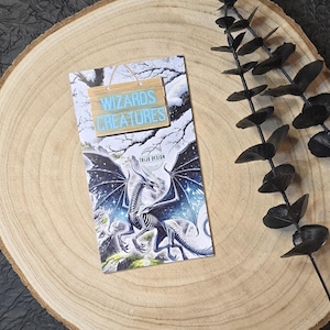 Wizards Creatures | Klappkarte | A6 | Wizards | Zauberei | Fantasy | magisch | Sparchallenge | Budgeting