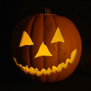 Jack-o'-lantern - Halloween (1978) / Halloween Ends - Porch / Opening Credits Pumpkin - 9" Craft Artificial Reusable Pumpkin