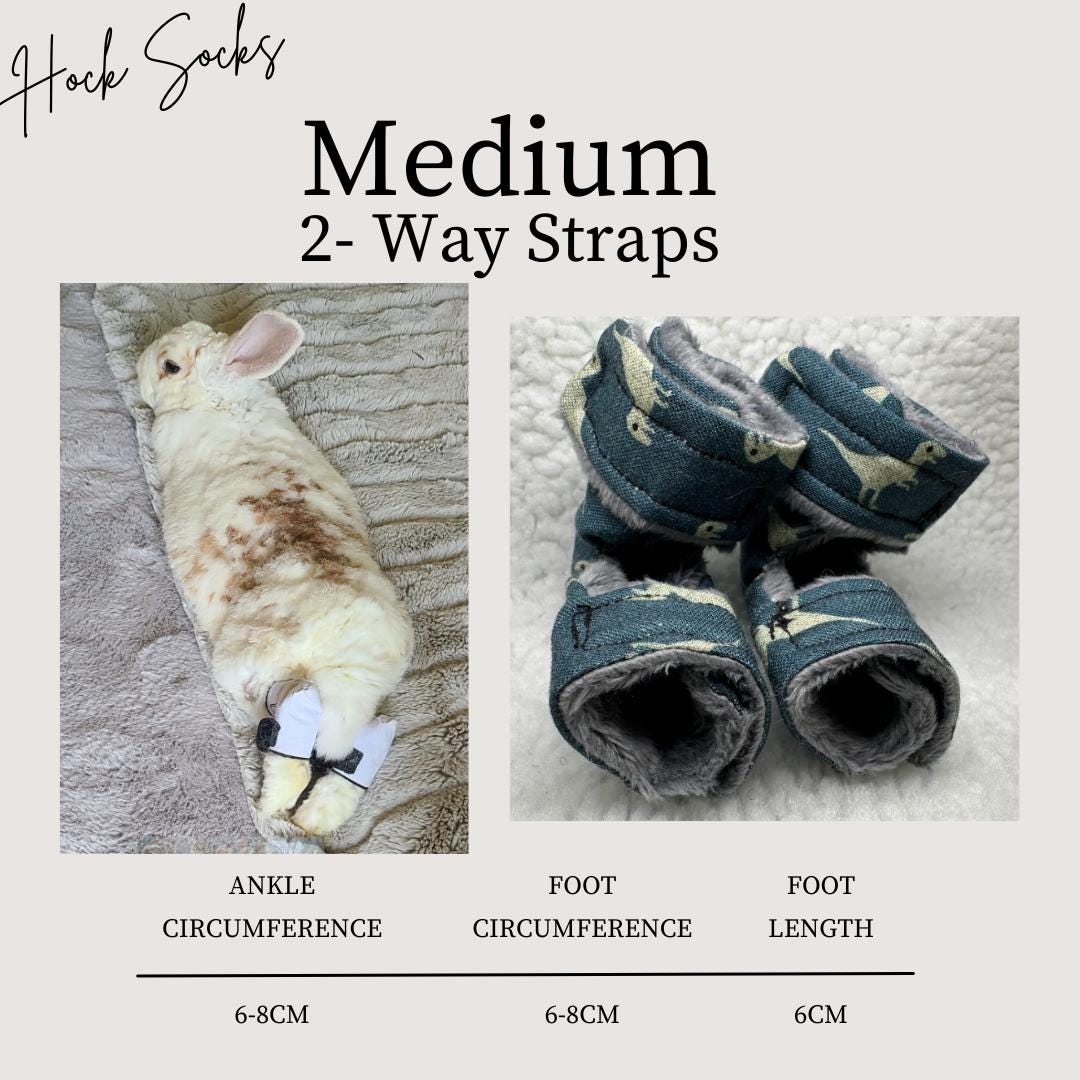 Size: Medium Rabbit Hock Socks (2-way straps)