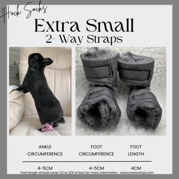 Extra small dog socks 2025