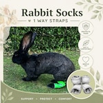Rabbit Accessories