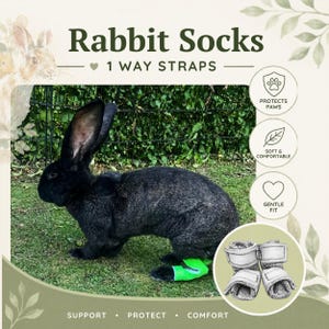 Könnte beinhalten: Ein schwarzes Kaninchen trägt eine leuchtend neongrüne Socke an einem Hinterbein. Das Bild enthält den Text Rabbit Socks, 1 WAY STRAPS, PROTECTS PAWS, SOFT & COMFORTABLE, GENTLE FIT, SUPPORT, PROTECT, COMFORT und zeigt zwei graue Stoffsocken.