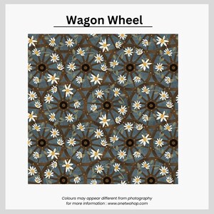 Wagon Wheel Rabbit image 1