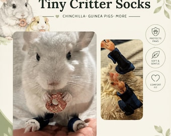 Tiny Critters / Chinchilla