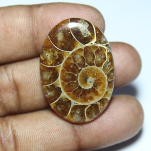 Fossil 3843 cheap