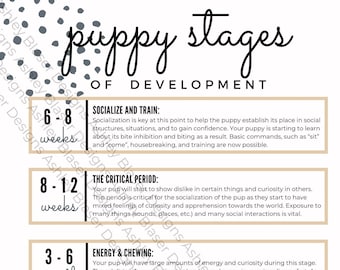 Puppy Stages of Development Handout