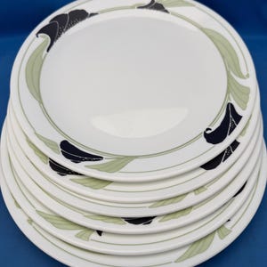 May include: A stack of white ceramic plates with a floral design. The plates have a wide rim with a pattern of black flowers and green leaves. The plates are stacked on top of each other.
