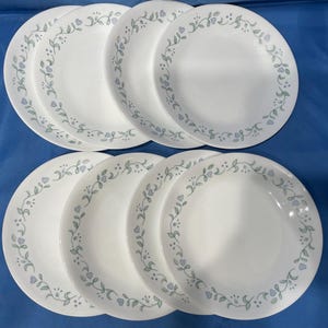 Pode incluir: Conjunto de seis pratos de jantar de cerâmica branca com um delicado desenho floral em tons de verde e azul. Os pratos apresentam um padrão de videira com pequenos corações e folhas.