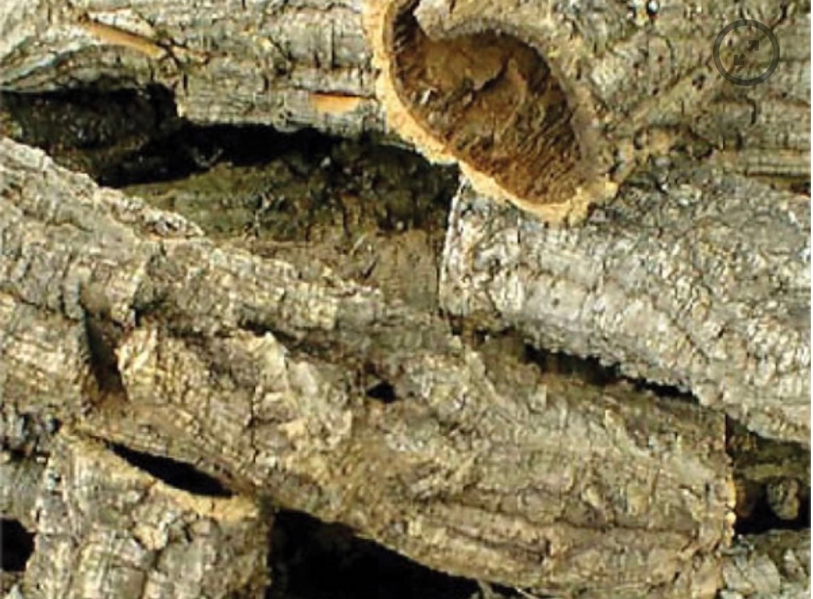 1 KG of Cork Bark Tubes Various Rats Reptiles Terrariums Small Etsy UK