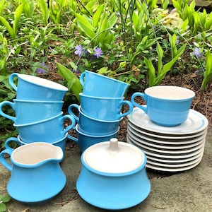 Vintage Nikko Ironstone Foremost Ceramic Tea Set made in Japan