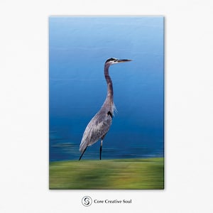 Animal, Great Blue Heron, Wall Décor, Canvas Wrap Print