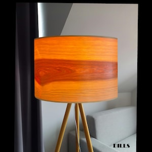 Può includere: Una lampada da terra a treppiede in legno con paralume cilindrico. Il paralume presenta un caldo motivo a venature di legno arancione e marrone. Le gambe della lampada sono di colore legno chiaro e il design generale è moderno ed elegante.
