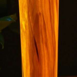 Stehlampe Nussbaum Echtholz hand gefertigt Bild 3