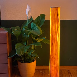 Stehlampe Nussbaum Echtholz hand gefertigt Bild 1