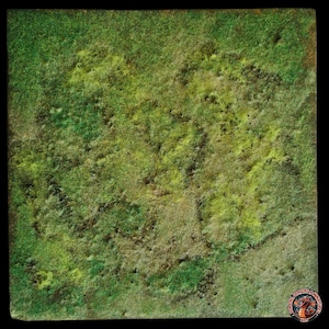 Könnte beinhalten: Quadratische, strukturierte Oberfläche mit detailliertem, grasartigem Aussehen. Die Farbpalette umfasst verschiedene Grün-, Braun- und Gelbtöne, die eine realistische, naturalistische Ästhetik erzeugen. Die Oberfläche ist wahrscheinlich ein Geländestück für Tabletop-Spiele.