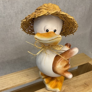 Vintage Funny Seagull with Straw Hat Accent