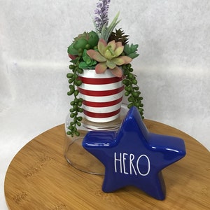 Succulent Accent with Rae Dunn &quot;Hero Star Accompaniment&quot;