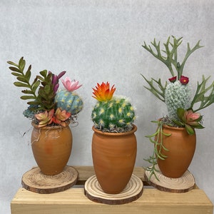 Terra Cotta Clay Pots with Faux Cactus & Succulent Arrangments (3)