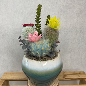Glazed Ceramic Planter with Faux Cactus & Succulent Arrangement