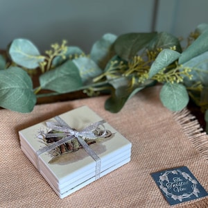 Frog & Toad (A)-Ceramic Coasters- Set of 4 Variety image 7