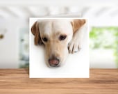 Labrador Greetings Card, Labrador Birthday Card, Labrador Thank you Card, Labrador Christmas Card, Card for Labrador Owner, Labrador Coaster