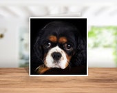 Cavalier King Charles Spaniel Card Cavalier King Charles Birthday Card, Cavalier King Charles Thank you Card Cavalier King Charles Xmas Card