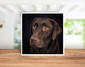 Chocolate Labrador Card, Labrador Birthday Card, Labrador Thank you Card, Labrador Christmas Card, Card for Labrador Owner, Labrador Coaster