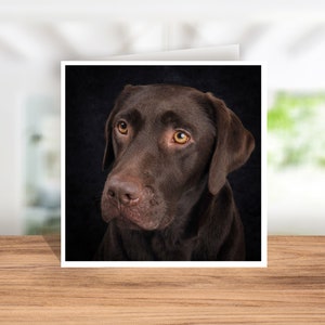 Chocolate Labrador Card, Labrador Birthday Card, Labrador Thank you Card, Labrador Christmas Card, Card for Labrador Owner, Labrador Coaster