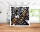 Cyclists Birthday Card, Bicycle Birthday Card, Cyclist Coasters Bicycle Fan Coaster, Cyclists Christmas Card, Bicycle Art, Amsterdam Bicycle