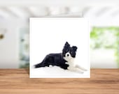 Border Collie Card, Border Collie Birthday Card, Border Collie Thank you Card, Border Collie Christmas Card, Border Collie Owner cardCoaster