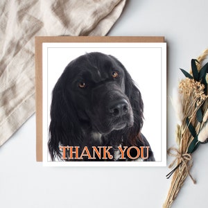 Cocker Spaniel Thank You card, Thank You Card of Cocker Spaniel, Cocker Spaniel Owners Thank You card, Cocker Spaniel Thank You Card for her Cocker Spaniel Thank You Card for him, Cocker Spaniel  Coaster 8x8 in Hand Finished Cocker Spaniel Print