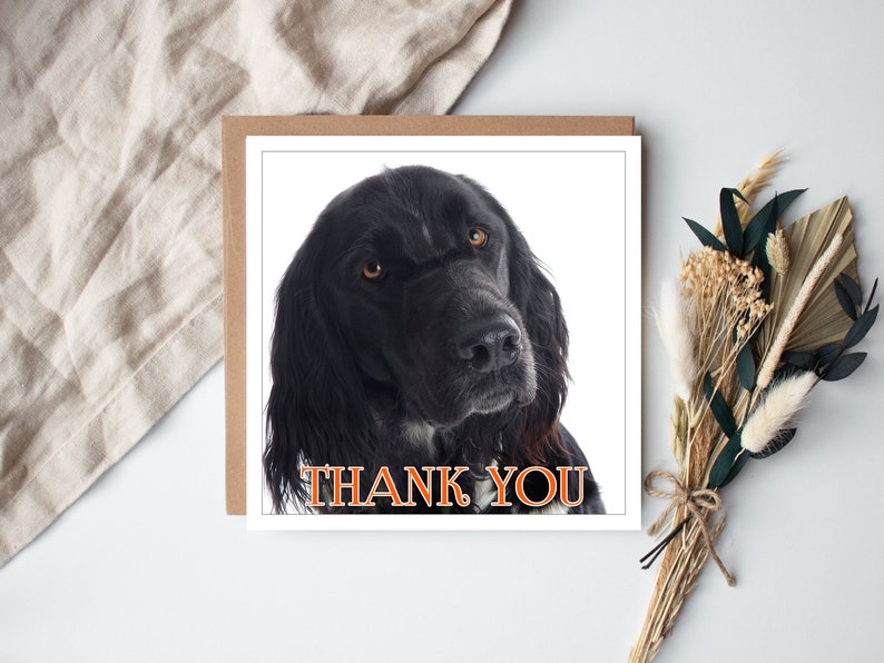 Cocker Spaniel Thank You card, Thank You Card of Cocker Spaniel, Cocker Spaniel Owners Thank You card, Cocker Spaniel Thank You Card for her Cocker Spaniel Thank You Card for him, Cocker Spaniel  Coaster 8x8 in Hand Finished Cocker Spaniel Print
