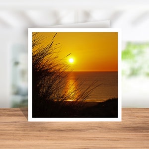 May include: A sunset over the ocean with tall grass in the foreground. The sun is setting behind the horizon, casting a warm orange glow over the water.