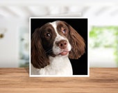 Springer Spaniel Card Springer Spaniel Birthday Card Springer Spaniel Thank you Card Springer Spaniel Christmas Card Springer Spaniel Owner