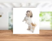 Shih Tzu Greetings Card, Shih Tzu Birthday Card, Shih Tzu Thank you Card, Shih Tzu Christmas card, Card for Shih Tzu Owner, Shih Tzu Coaster