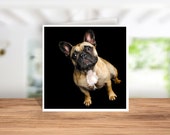 French Bulldog Card, French Bulldog Birthday Card, French Bulldog Thank you Card, French Bulldog Christmas card, French Bulldog Owner Card