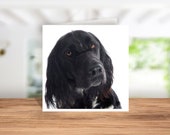 Cocker Spaniel Card, Cocker Spaniel Birthday Card, Cocker Spaniel Thank you Card, Cocker Spaniel Christmas Card, Cocker Spaniel Owner card