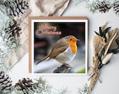 Red Robin Card, Red Robin Greeting Card, Red Robin Christmas Card, Christmas Card for Red Robin Fans, Red Robin Prints, Red Robin Coasters