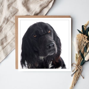 Cocker Spaniel Greetings Card, Cocker Spaniel Birthday Card, Cocker Spaniel Thank you Card, Cocker Spaniel Christmas Card, Cocker Spaniel Owner Card, Cocker Spaniel Coaster, Cocker Spaniel card for him, Cocker Spaniel card for her, 8x8 Print