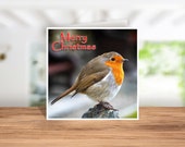 Red Robin Card, Red Robin Greeting Card, Red Robin Christmas Card, Christmas Card for Red Robin Fans, Red Robin Prints, Red Robin Coasters