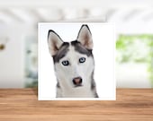 Siberian Husky Card, Siberian Husky Birthday Card, Siberian Husky  Thank you Card, Siberian Husky  Christmas Card, Siberian Husky Owner card