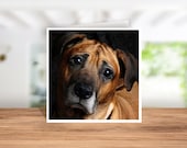 Rhodesian ridgeback Card, Rhodesian ridgeback Birthday Card, Rhodesian ridgeback Thank you Card, Rhodesian ridgeback Christmas Card,